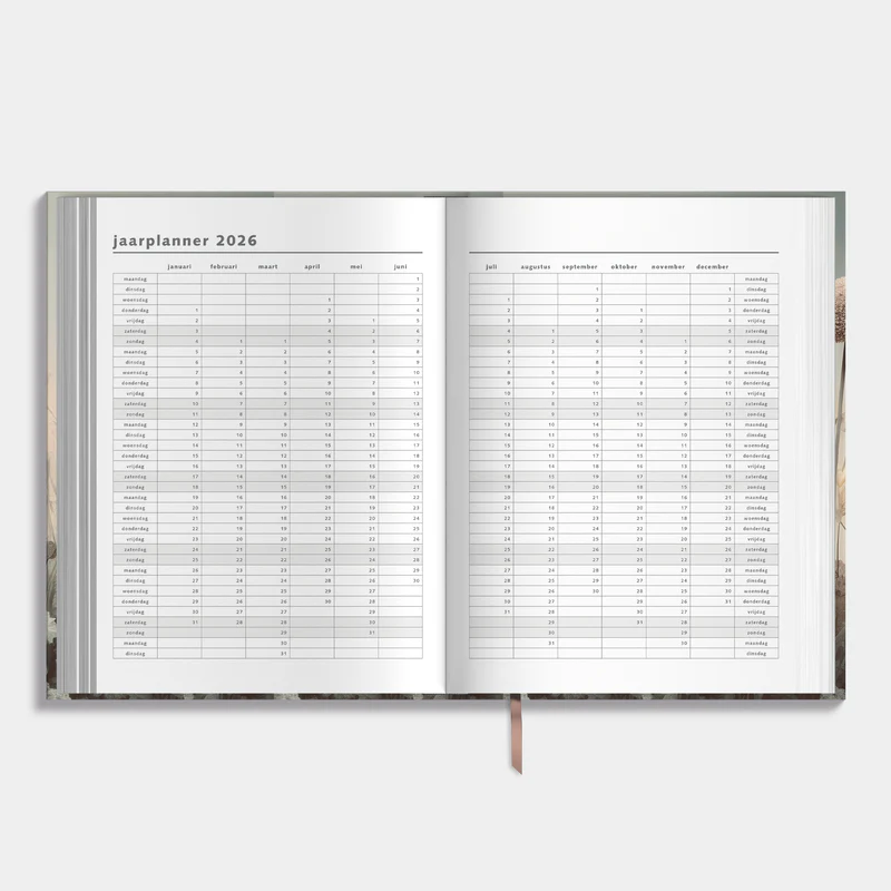 Agenda De Hobbit 25-26 A4 Veldbloemen - Afbeelding 4