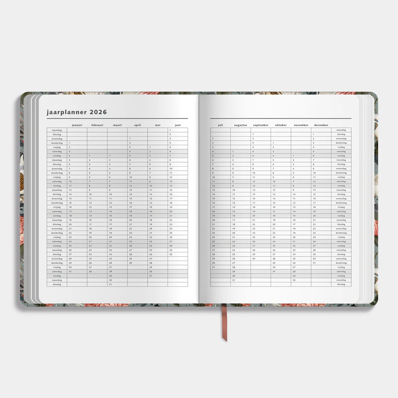 Weekplanner De Hobbit 25-26 A4+ Kraanvogels - Afbeelding 5