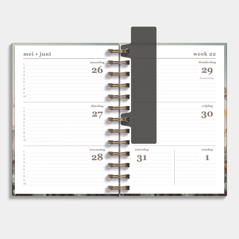 Ringband Agenda De Hobbit 25-26 Medium Veldbloemen - Afbeelding 3